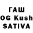 Галлюциногенные грибы Cubensis Karl R.