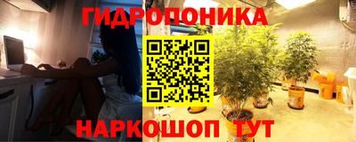 каннабис Будённовск