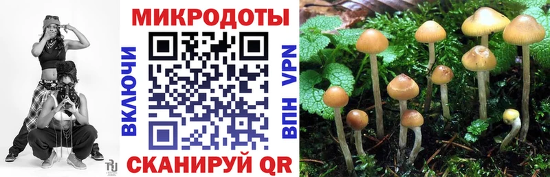 Псилоцибиновые грибы прущие грибы Мелеуз