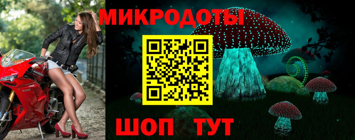 Псилоцибиновые грибы Psilocybine cubensis  Галлюциногенные грибы прущие грибы  Мелеуз  Вход с VPN 