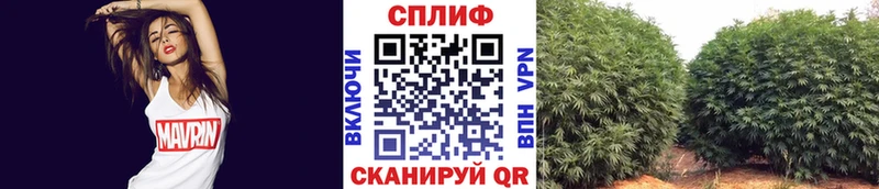 Канабис гибрид купить закладку Мелеуз
